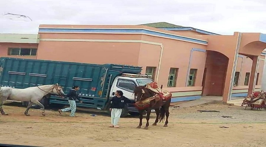 رئيس جماعة يحول ثانوية إلى إسطبل لخيول "التبوريدة"