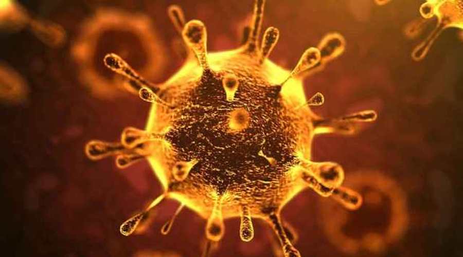 ألمانيا تصنف 20 دولة كمناطق عدوى خطيرة لإنتقال فيروس كورونا