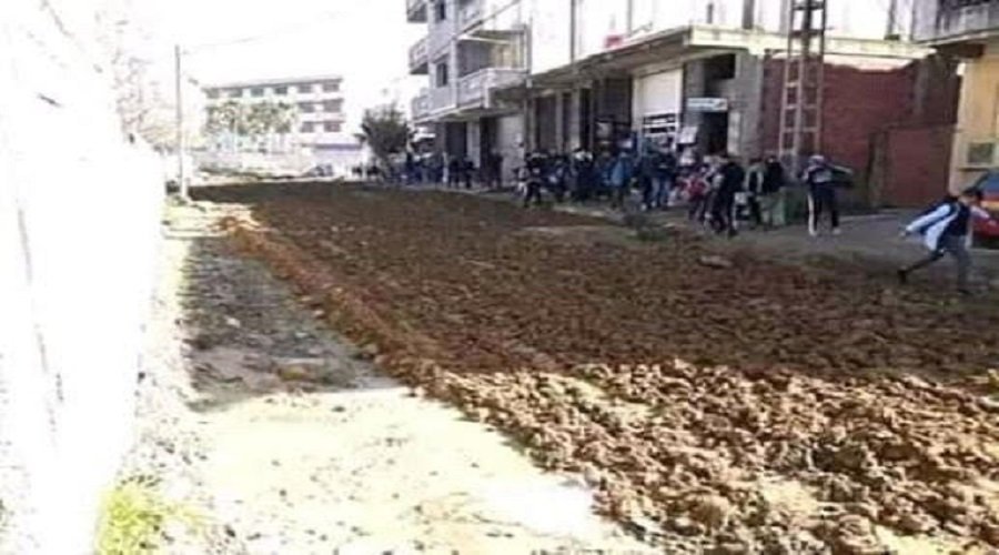 أغرب حركة احتجاجية في العالم... مغاربة يحرثون شارعا ويزعون به البطاطس