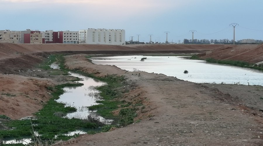 مياه الصرف الصحي تهدد سكانا ببرشيد