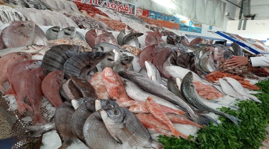 وزارة الفلاحة : نشاط الصيد البحري مستمر من أجل الحفاظ على تموين منتظم للسوق والعرض كافي خلال شهر رمضان