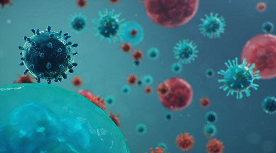 دراسة: الاستجابة المناعية ضد فيروس كورونا أفضل لدى النساء