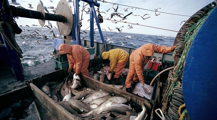 فاعلون اقتصاديون فرنسيون يستكشفون مؤهلات الصيد البحري بالأقاليم الجنوبية للمملكة