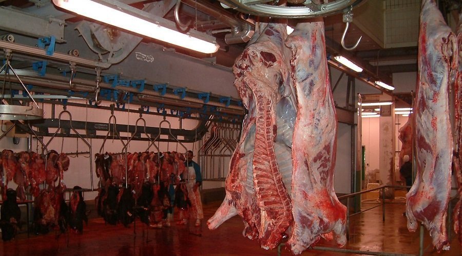 توقعات سلبية لمندوبية التخطيط بشأن أسعار اللحوم الحمراء ومردوية الحبوب والقطاني