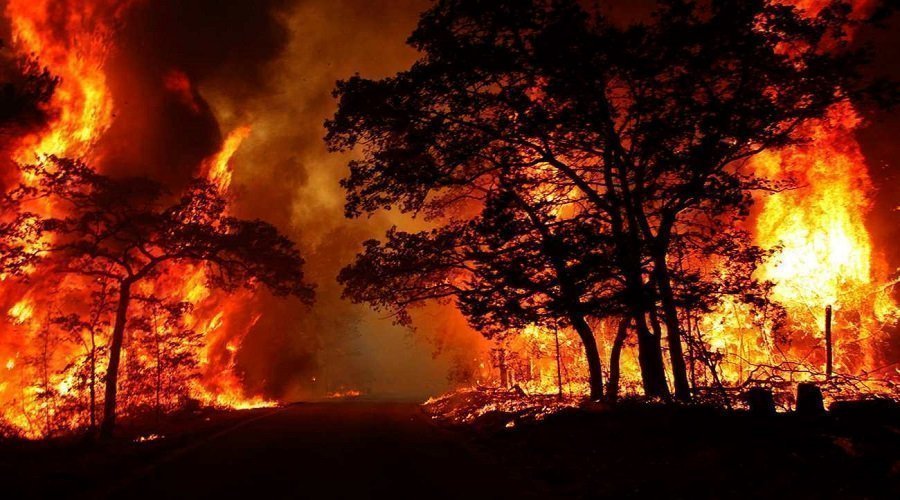 حرائق الغابات تأتي على 900 هكتار من الغابات بإسبانيا