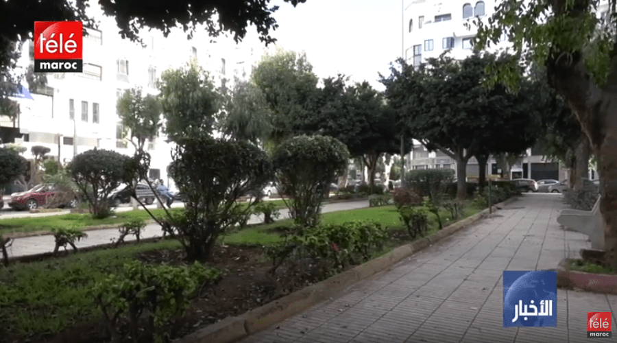 تعثر في مشروع إحداث مكتبات بحدائق الدار البيضاء
