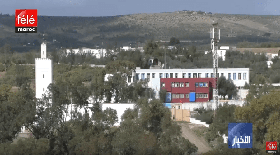 مشروع سكني بالرماني يهدد 12 ألف هكتار من شجر البيرول النادر بالاندثار