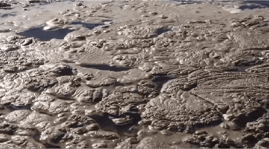 تسرب مواد كيماوية إلى البحر في الجديدة تسببت في إصابات جلدية ونفوق الأحياء البحرية (فيديو)