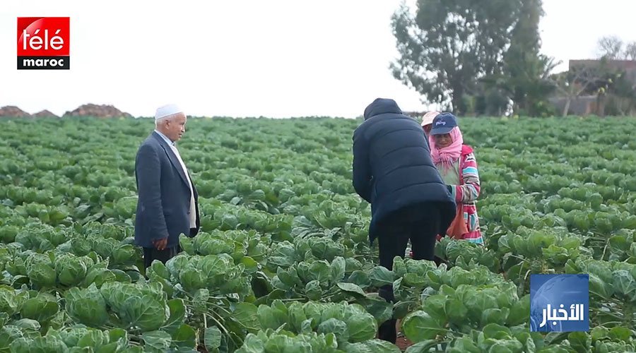 أزيد من 22 ألف مغربي غادروا للعمل بالخارج مع نهاية شتنبر