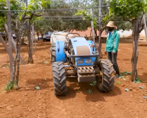 الفلاحة في مفترق الطرق: الكيمياء أم البيولوجيا من المنقذ؟