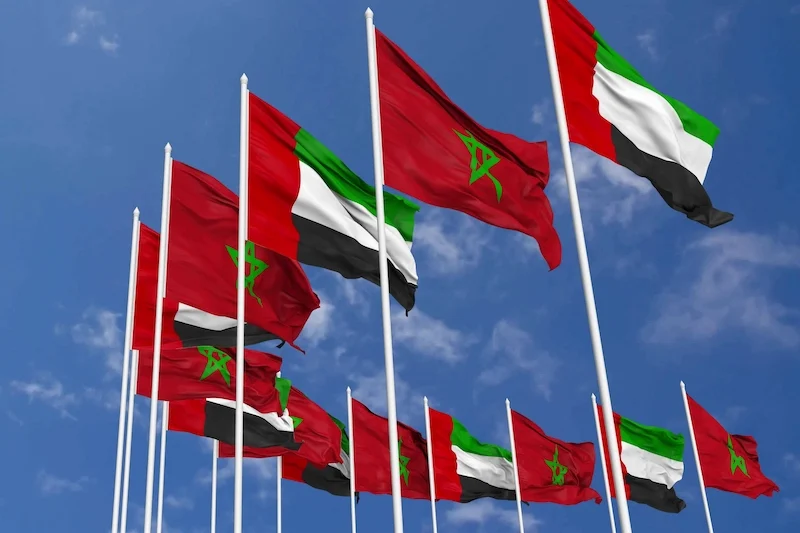 المملكة العربية السعودية تدين بشدة الهجوم الذي استهدف مدينة السمارة