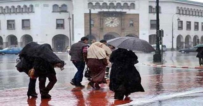 نشرة خاصة.. أمطار قوية بهذه المناطق من المملكة
