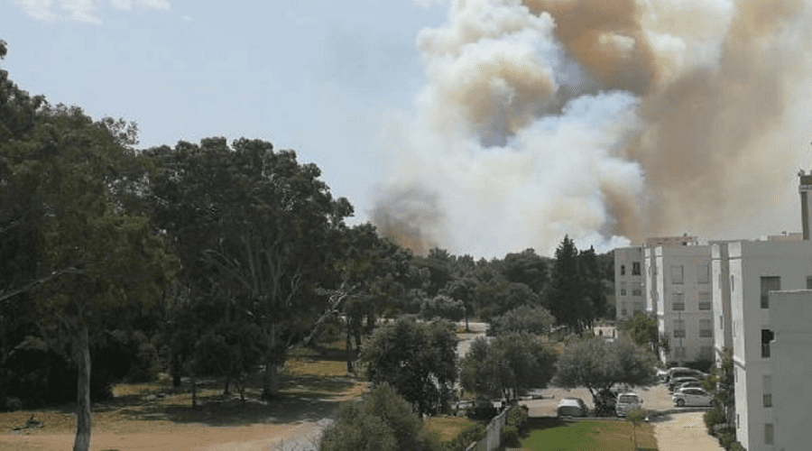 اندلاع حريق كبير بالغابة الديبلوماسية بطنجة غير بعيد عن المستشفى الميداني المخصص لعلاج المصابين بـ"كورونا"