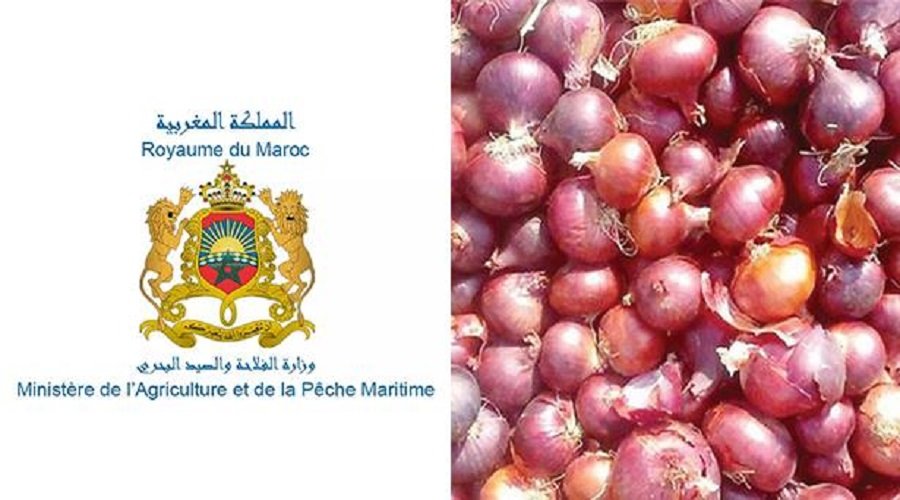 أسعار البصل والطماطم خلال رمضان تدفع وزارة الفلاحة للتوضيح