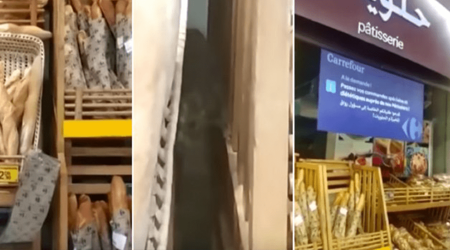 فيديو.. هذه حقيقة الفئران فوق الأغذية بالمركز التجاري "كارفور"