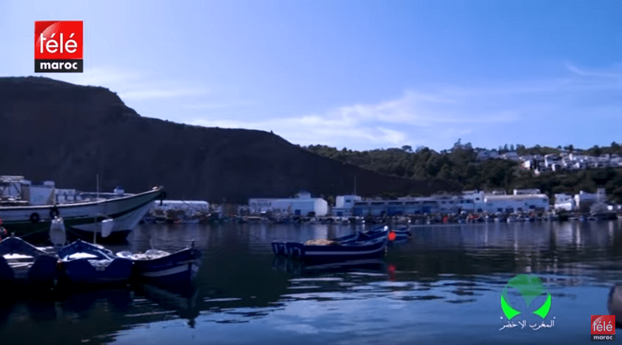 المغرب الأخضر: تعرفوا على الطرق التقليدية لزراعة الطحالب البحرية وكيفية تربية الأسماك في ضيعة نموذجية