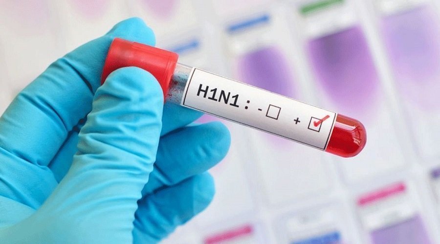 أنفلونزا الخنازير يحصد المزيد من الضحايا والحصيلة ترتفع إلى 11 قتيلا و30 مصابا