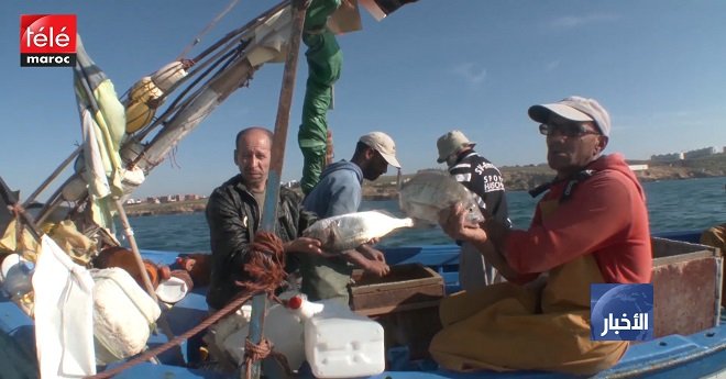 الوكالة الوطنية للموانئ تباشر إعادة هيكلة عدد من موانئ الصحراء المغربية