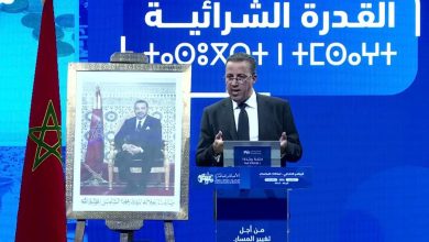 «البام» يفتح جبهة جديدة ضد بطالة الشباب.. مليون مستفيد و500 ألف «أول عقد شغل»