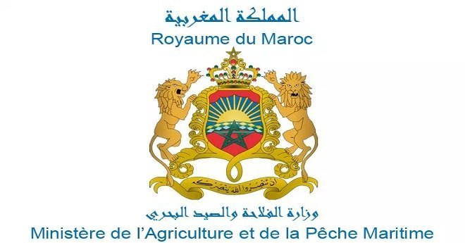 وزارة الفلاحة.. هذا عدد الأضاحي الموجّهة للأسواق بمناسبة عيد الأضحى