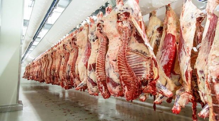 التحقيق في صرف أموال دعم إنتاج اللحوم الحمراء