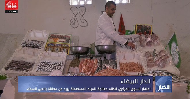 فيديو .. افتقار السوق المركزي لنظام معالجة للمياه المستعملة يزيد من معاناة بائعي السمك
