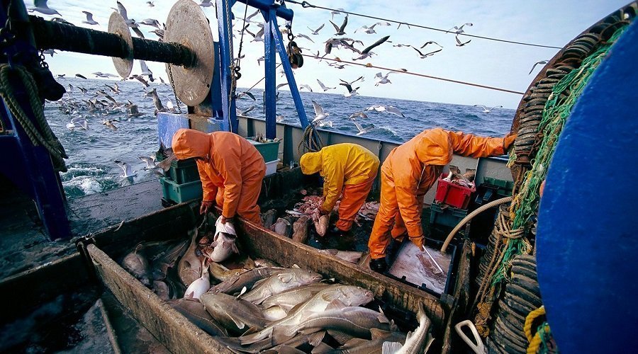 البرلمان الأوربي يصوت على اتفاق الصيد البحري