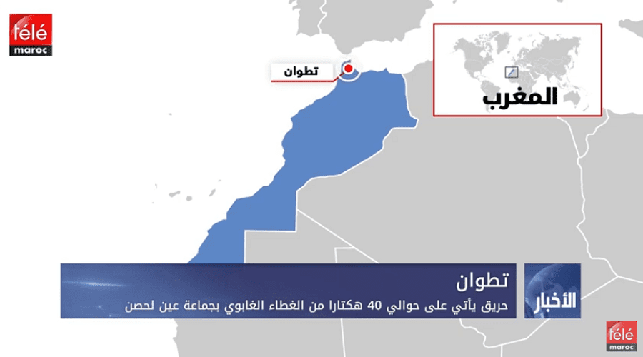 تطوان: حريق يأتي على حوالي 40 هكتارا من الغطاء الغاباوي بجماعة عين لحصن