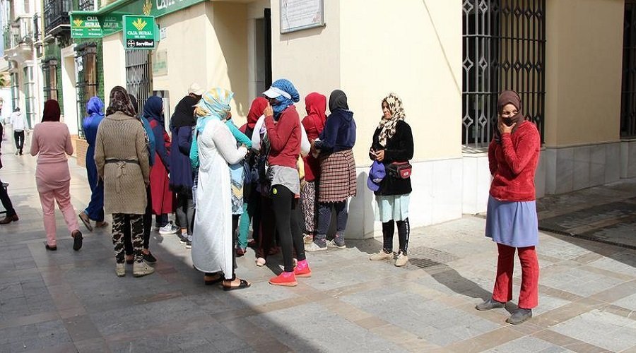 سفارة المغرب بمدريد تكشف تاريخ إعادة 7100 عاملة فراولة مغربية
