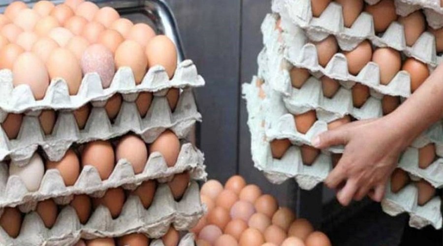 قطاع إنتاج بيض الاستهلاك عرف خسائر تقدر ب 3.5 مليون درهم يوميا بسبب الجائحة
