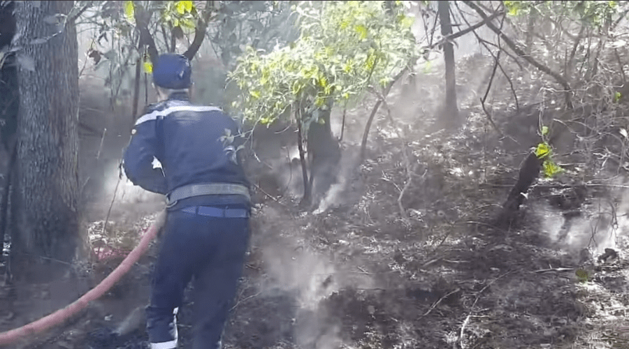 حريق جديد بغابة الرميلات بطنجة يثير الشكوك