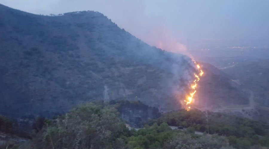 حريق إيفرني يتسبب في خسائر فادحة ويدمر النطاق الغابوي بمنطقة الدريوش