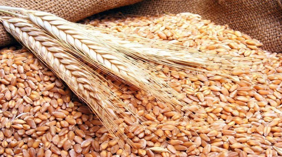 ارتفاع واردات الحبوب إلى 3.5 مليون طن عند متم أبريل الماضي