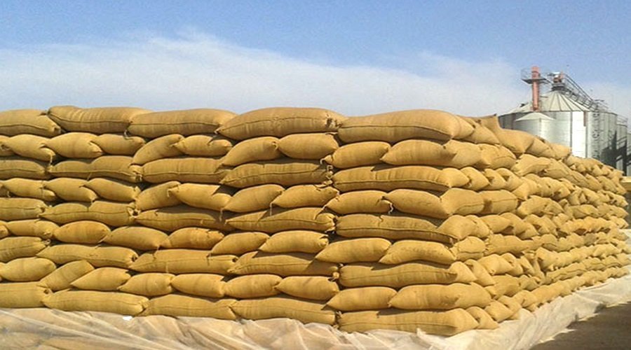 الحكومة تصادق على وقف رسوم استيراد القمح والقطاني لتخفيض أسعارها