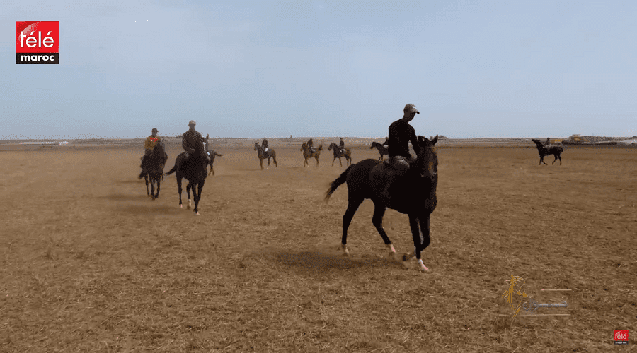 برنامج خيول يزور الملتقى الدولي لسباقات الخيول بالمغرب